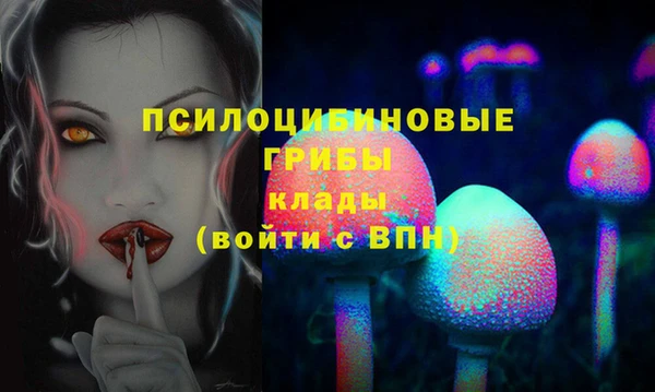 apvp Алексеевка